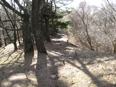 20180116hike (174)